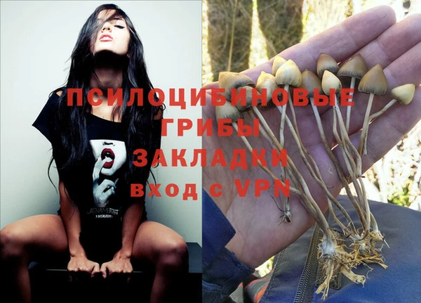 а пвп мука Володарск