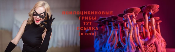 первитин Вязьма