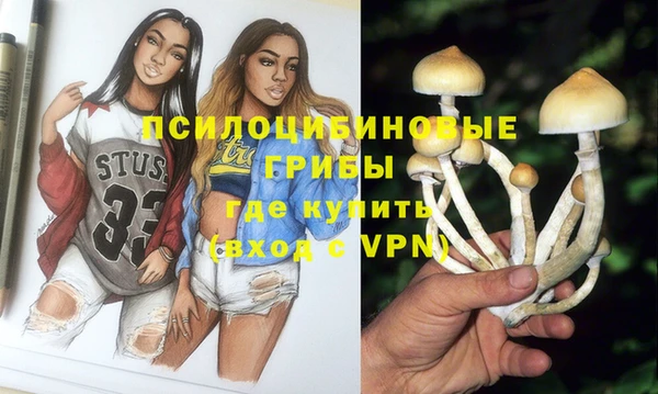 не бодяженный Вяземский