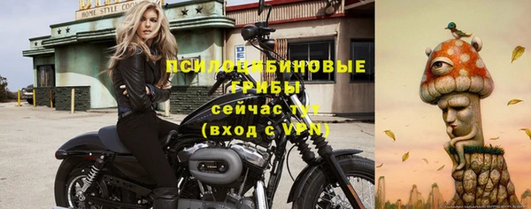 первитин Вязьма